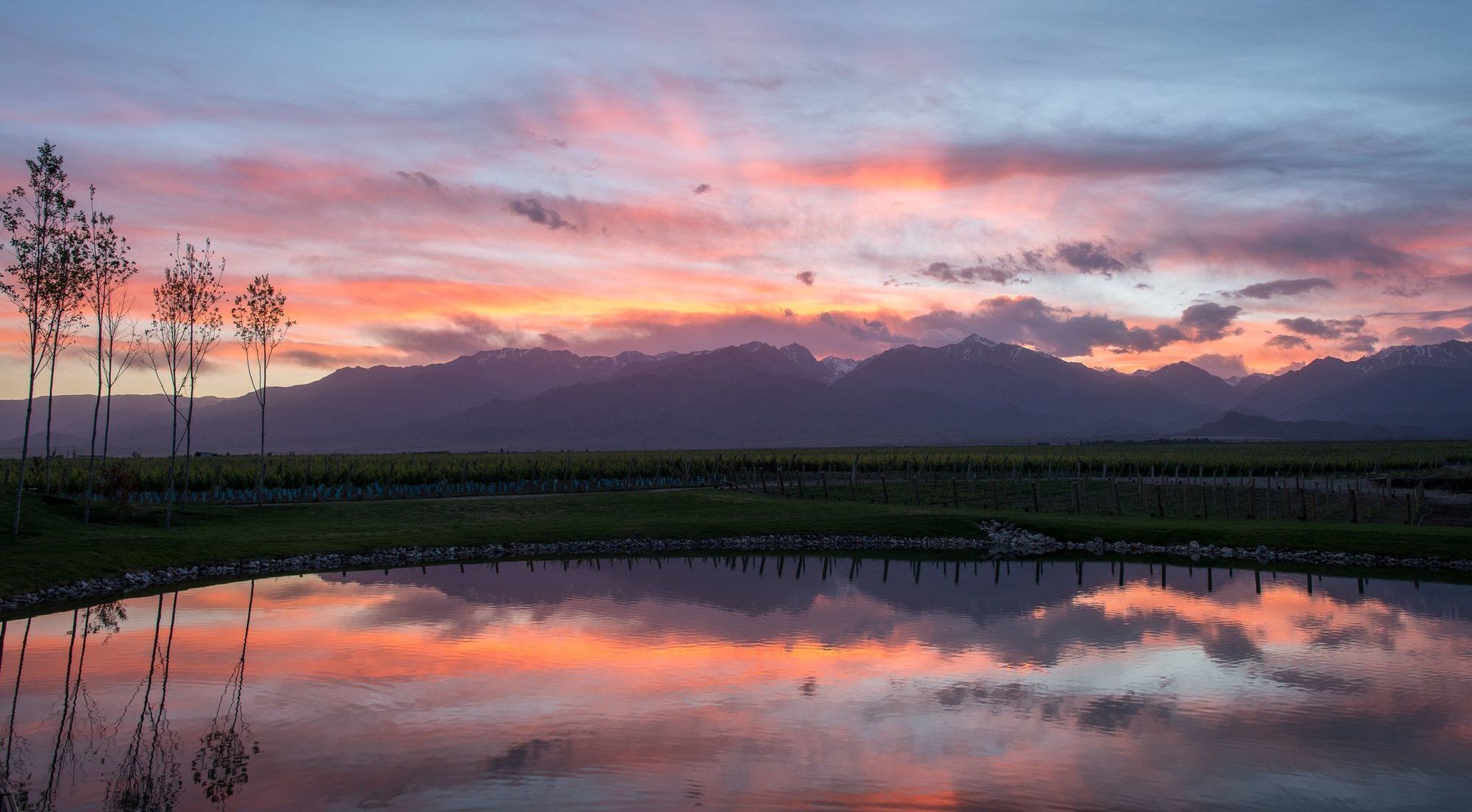 The Vines Resort & Spa Лос-Саусес Экстерьер фото