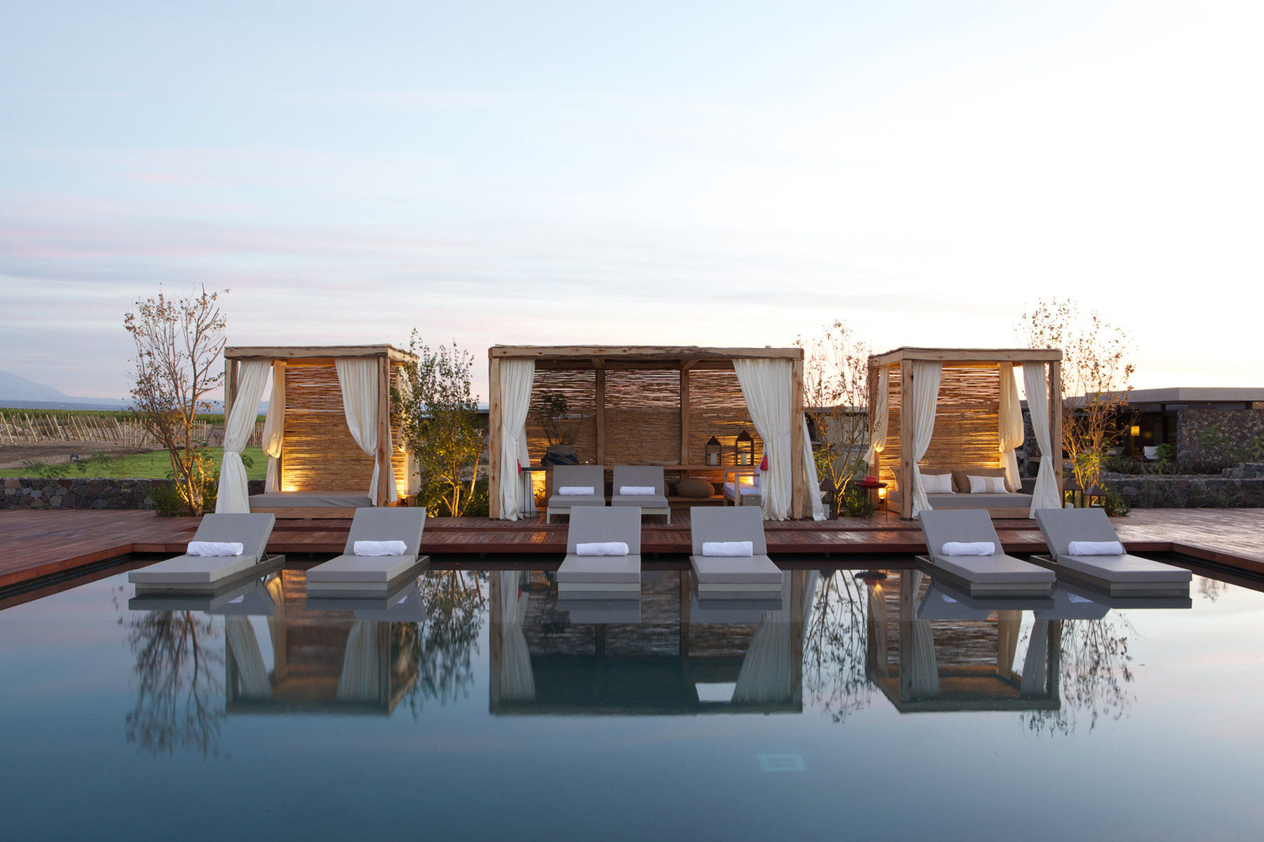 The Vines Resort & Spa Лос-Саусес Удобства фото